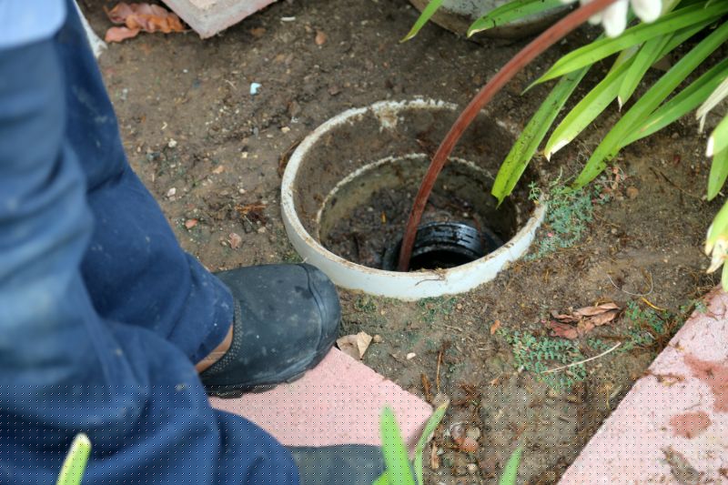 Drain Unblocking