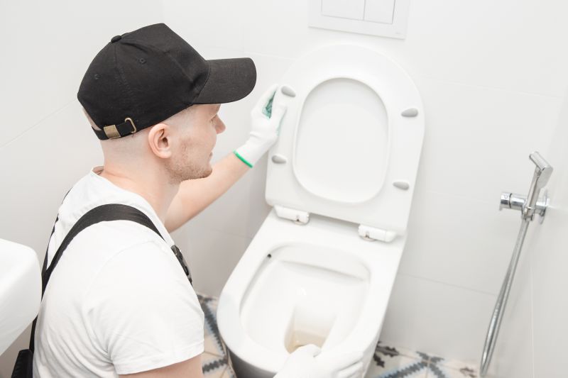 Overflowing Toilet Repair