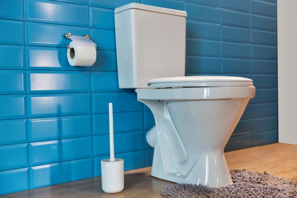 Cost of Toilet Tank Repair in Dover