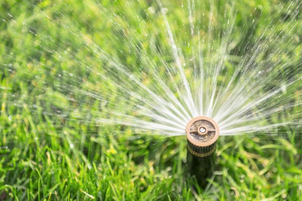 Cost of Spigot Installation in Dover
