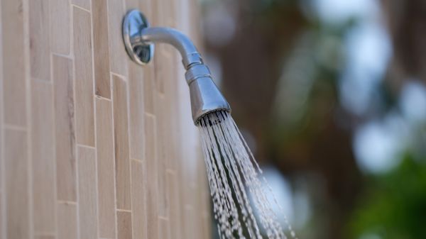 Cost of Showerhead Repair in Dover