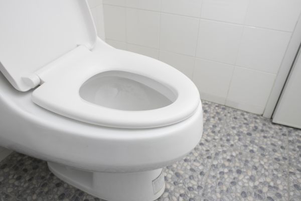 Cost of New Toilet Installation in Dover