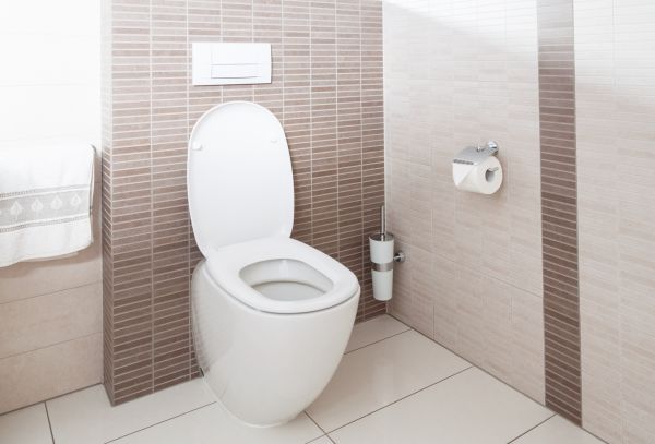 Cost of Toilet Plumbing Installation in Dover